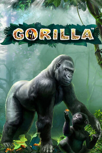 Играть бесплатно Gorilla без регистрации | ВаБанк Казино