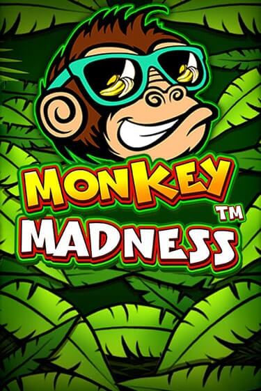 Играть бесплатно Monkey Madness без регистрации | ВаБанк Казино